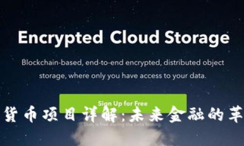 加密数字货币项目详解：未来金融的革命性力量