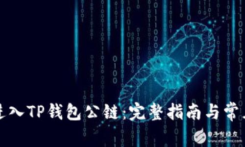 如何轻松进入TP钱包公链：完整指南与常见问题解答