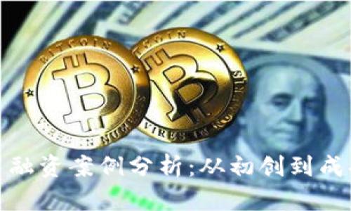 加密货币平台融资案例分析：从初创到成功的金融之路