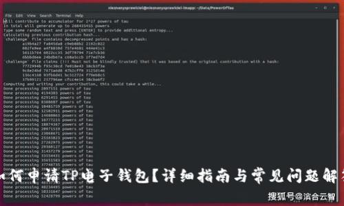 如何申请TP电子钱包？详细指南与常见问题解答