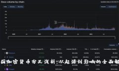 美国加密货币分叉浅析：从起源到影响的全面解