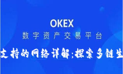 TP钱包支持的网络详解：探索多链生态系统