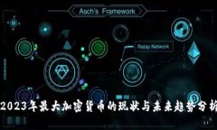 2023年最大加密货币的现状与未来趋势分析