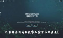 巴菲特为何看好数字加密货币的未来？