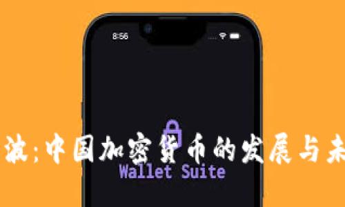 李波：中国加密货币的发展与未来