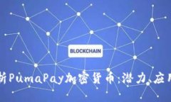 全面分析PumaPay加密货币：潜力、应用与未来