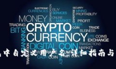 如何在TP钱包中自定义用户名：详细指南与常见问